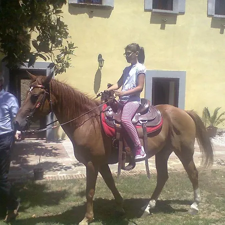 Sgroi