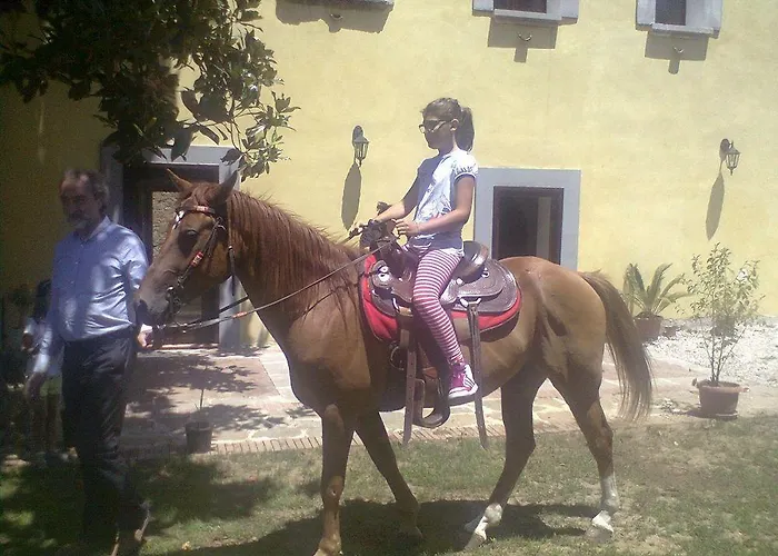 Sgroi